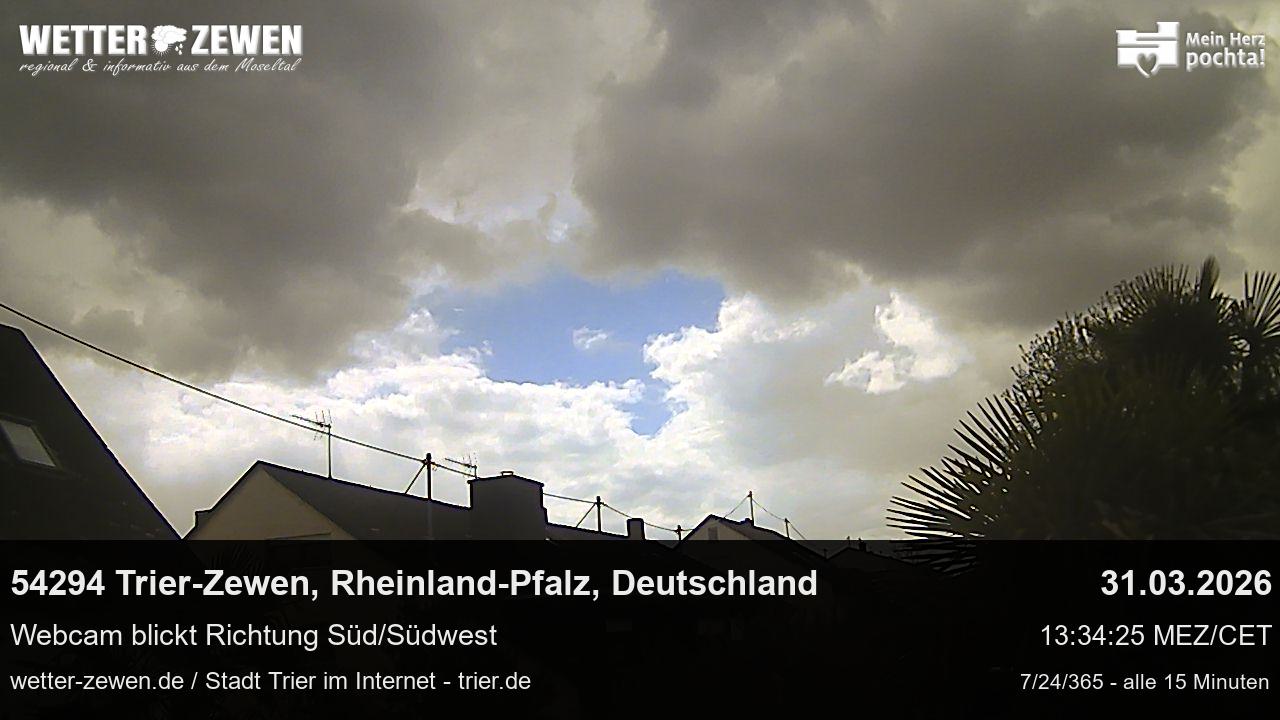 Bild