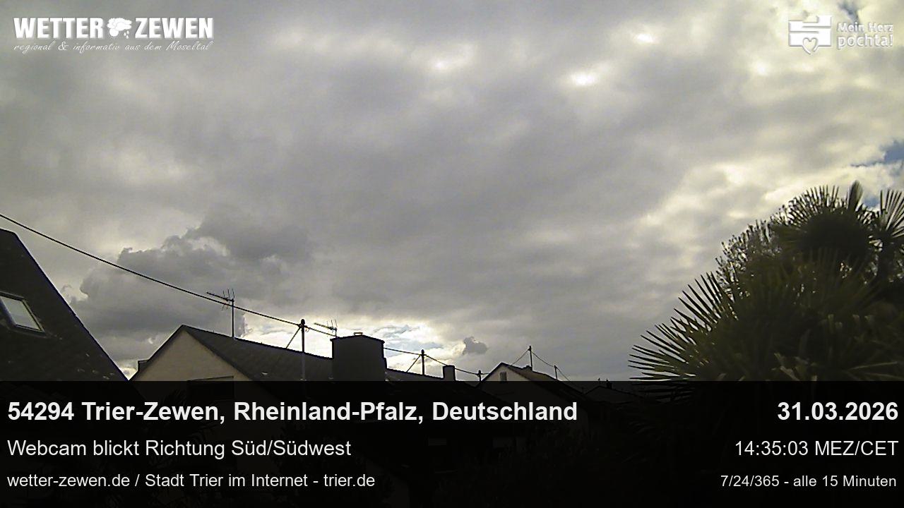 Bild