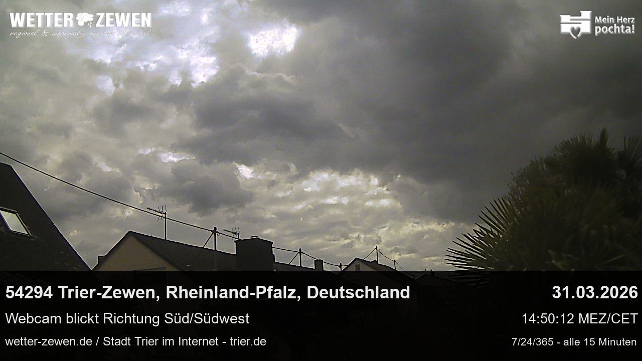 Bild