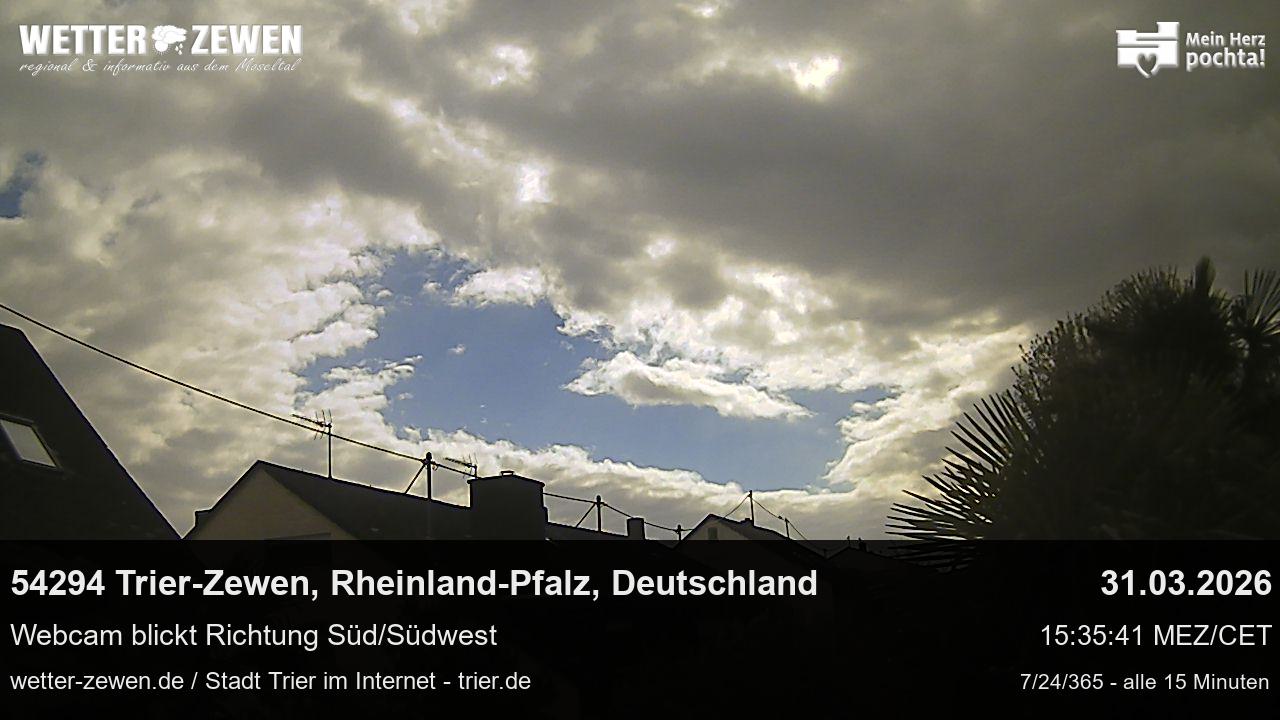 Bild