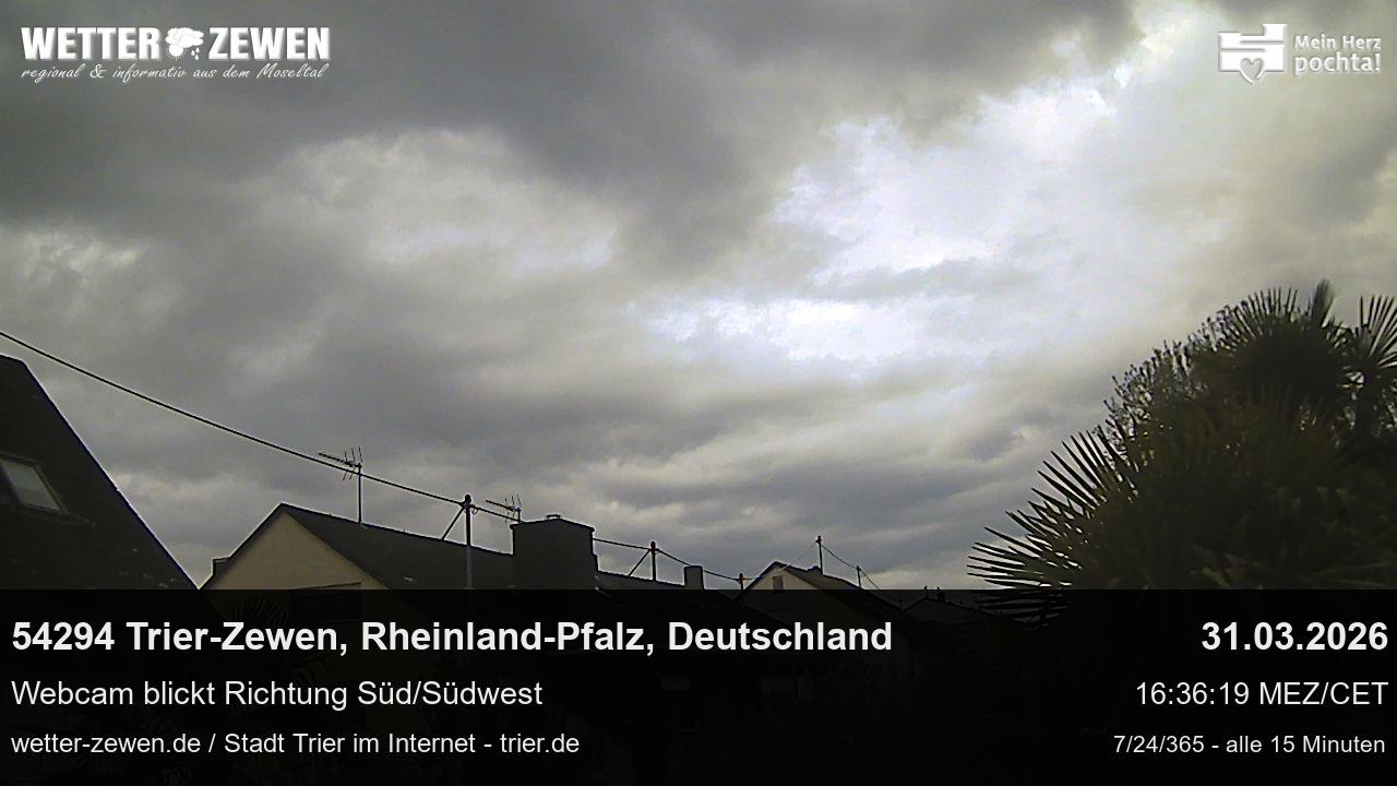 Bild