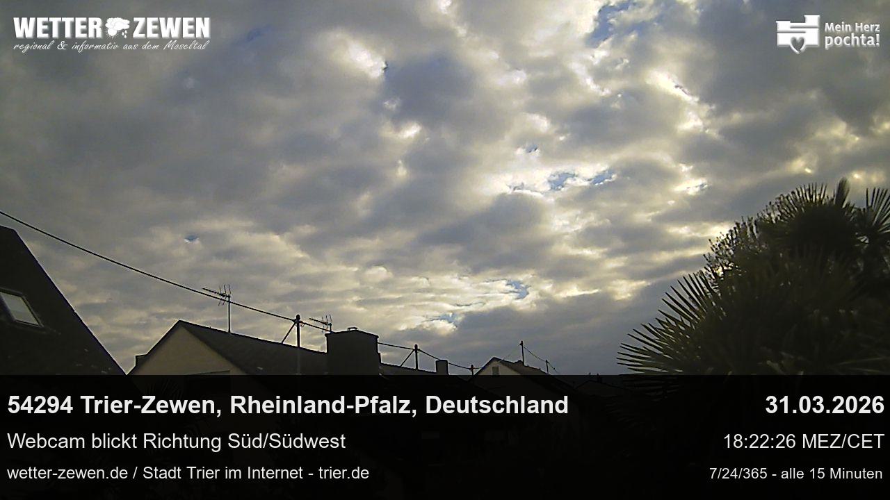 Bild