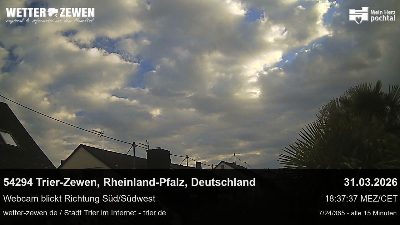 Bild