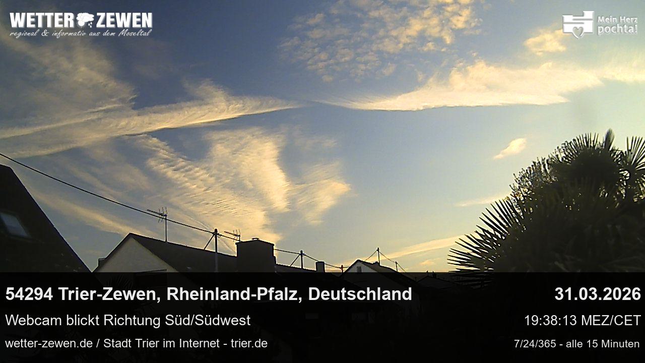 Bild