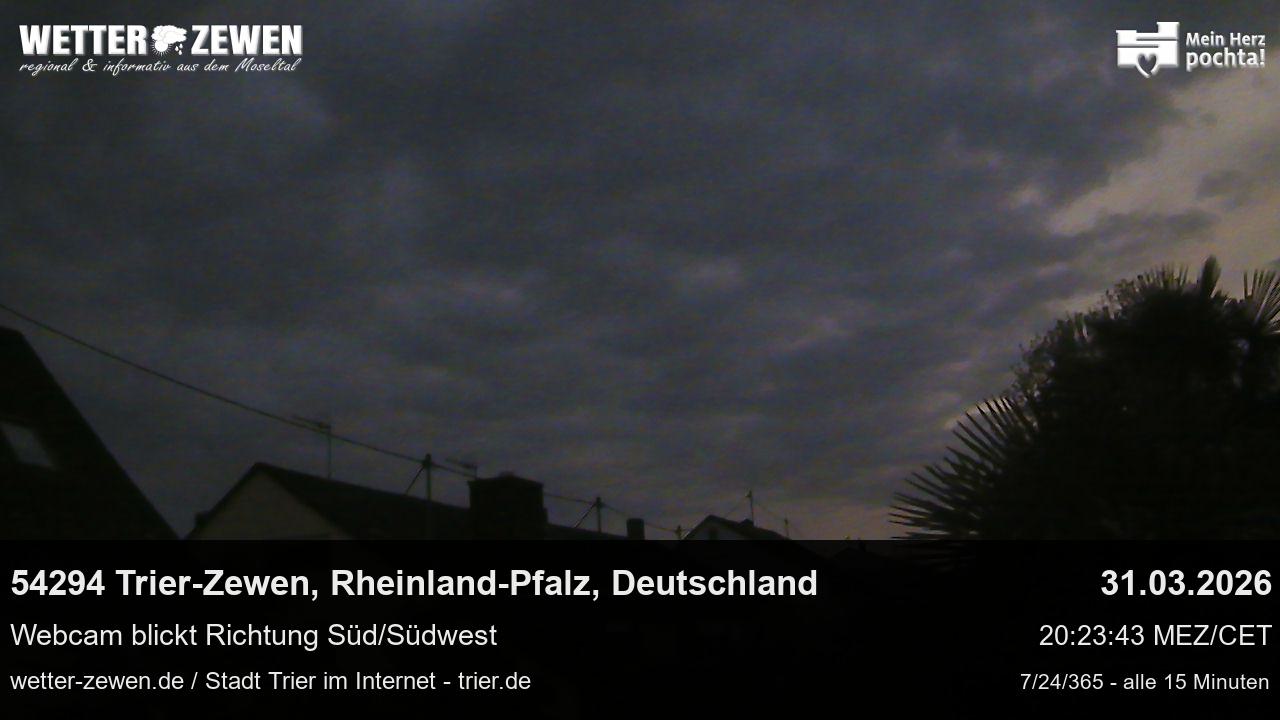 Bild