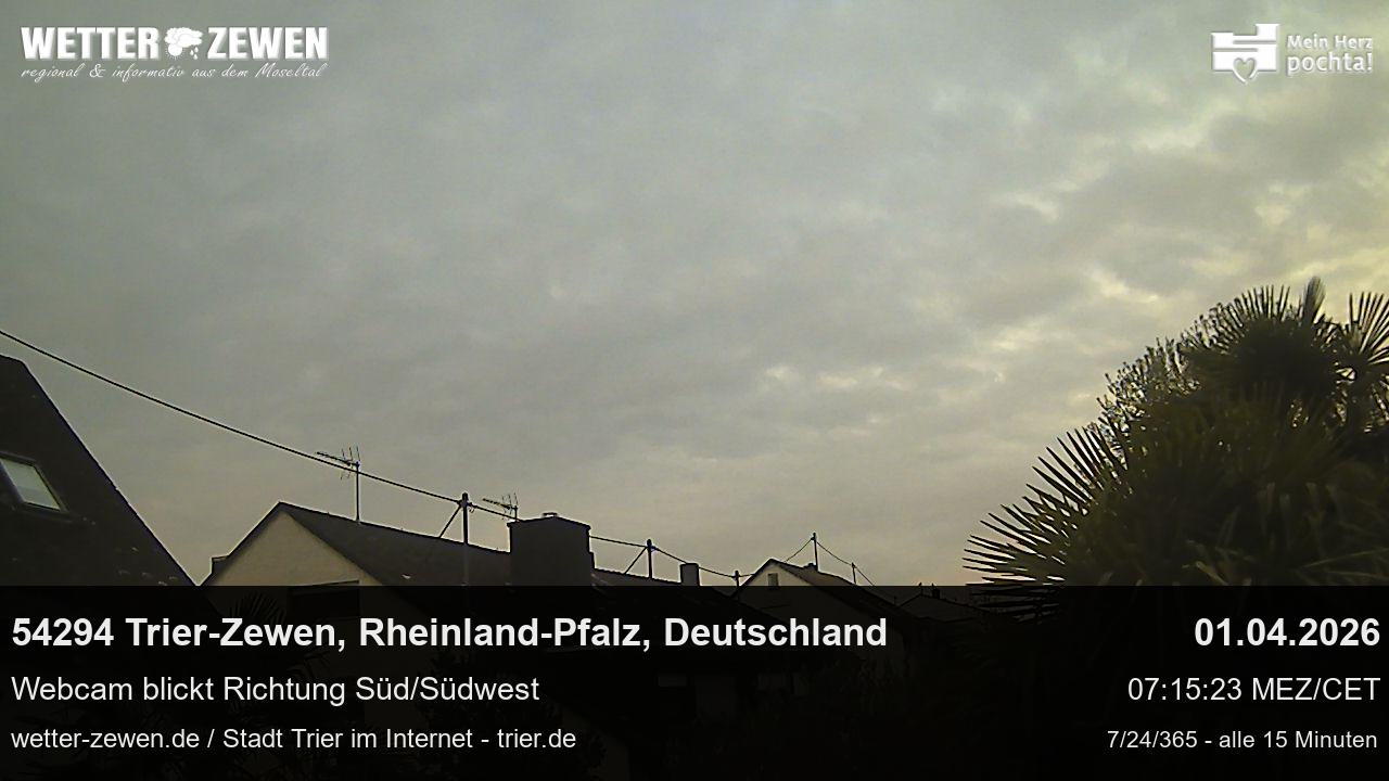 Bild