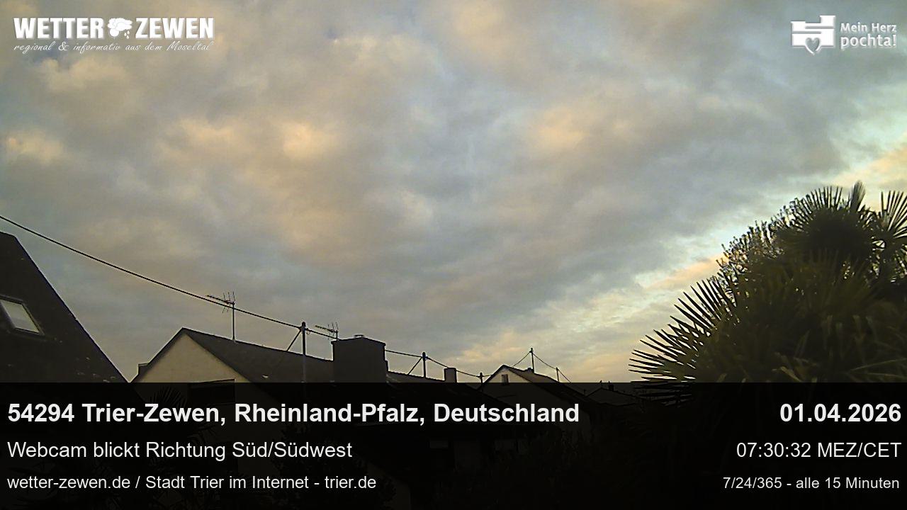 Bild