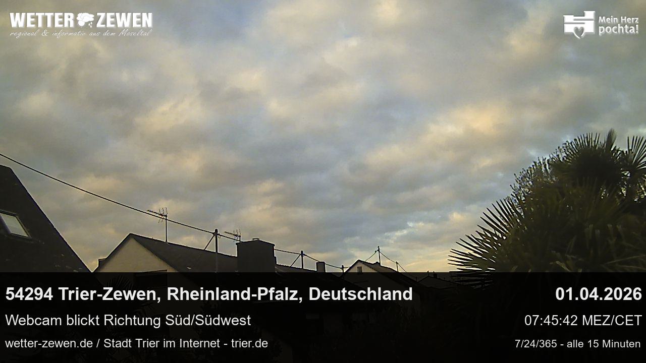 Bild