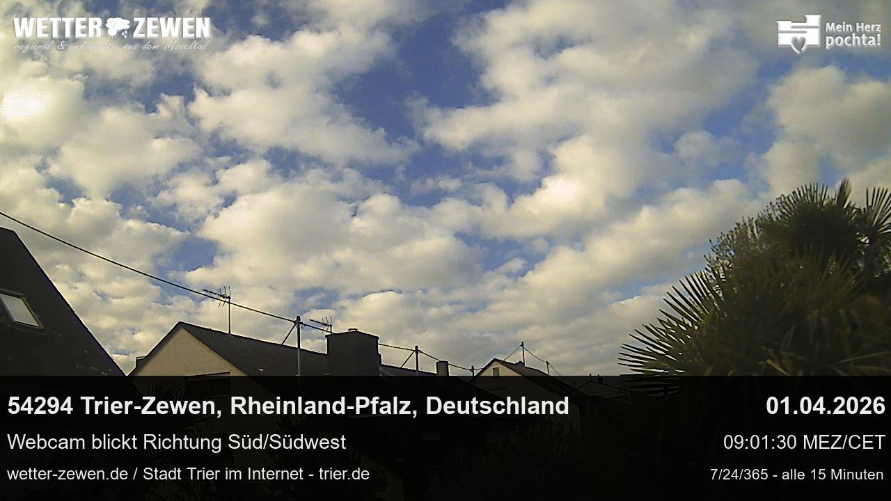 Bild