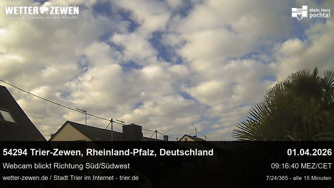 Bild