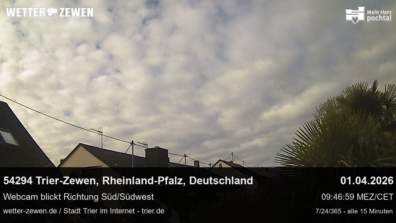 Bild