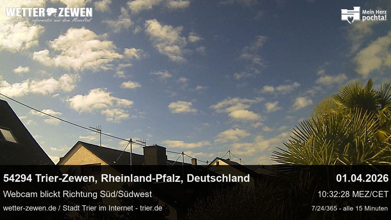 Bild