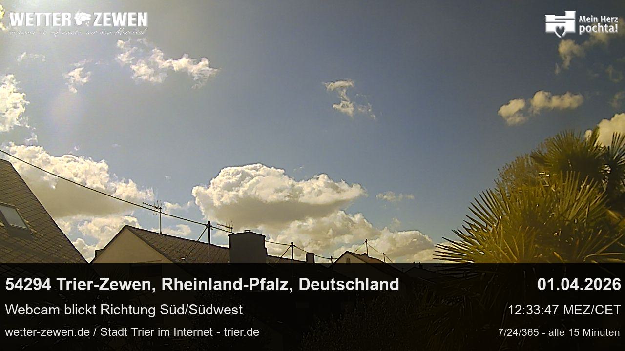 Bild