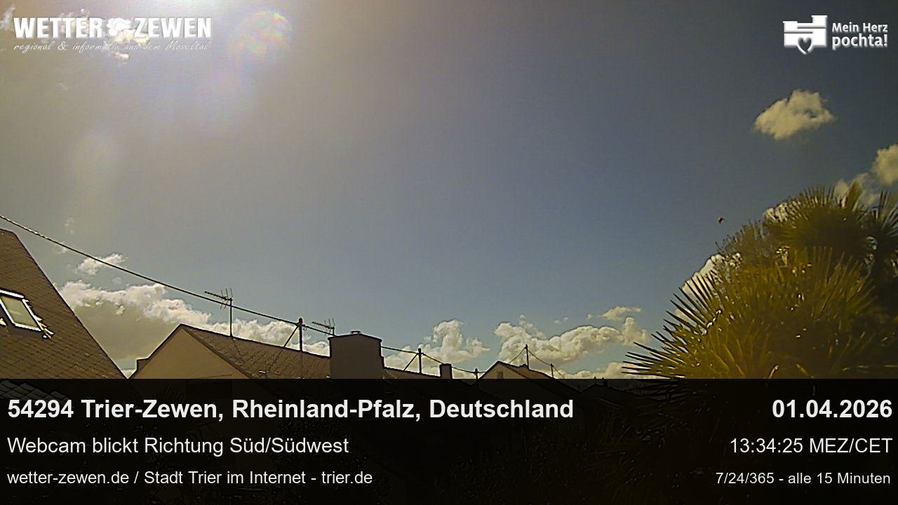 Bild