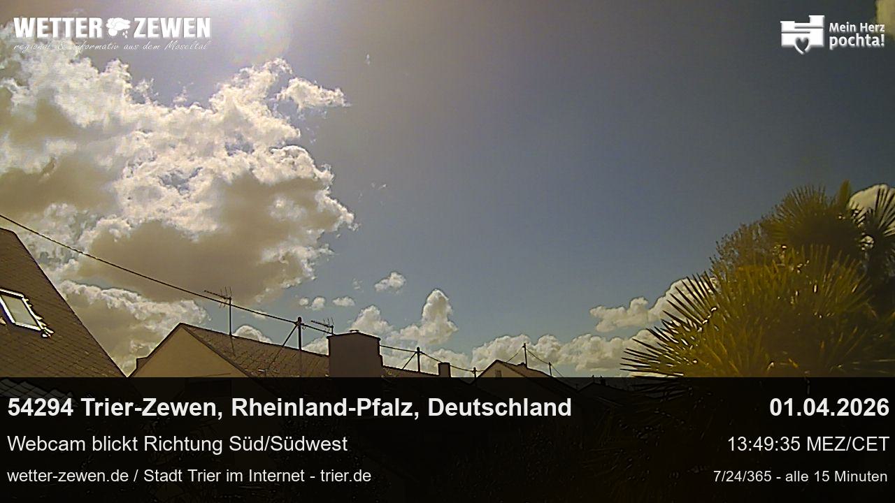 Bild