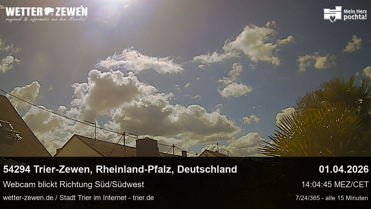Bild