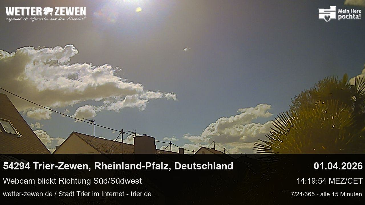 Bild