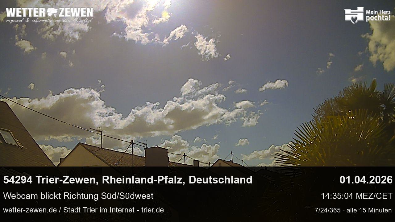 Bild
