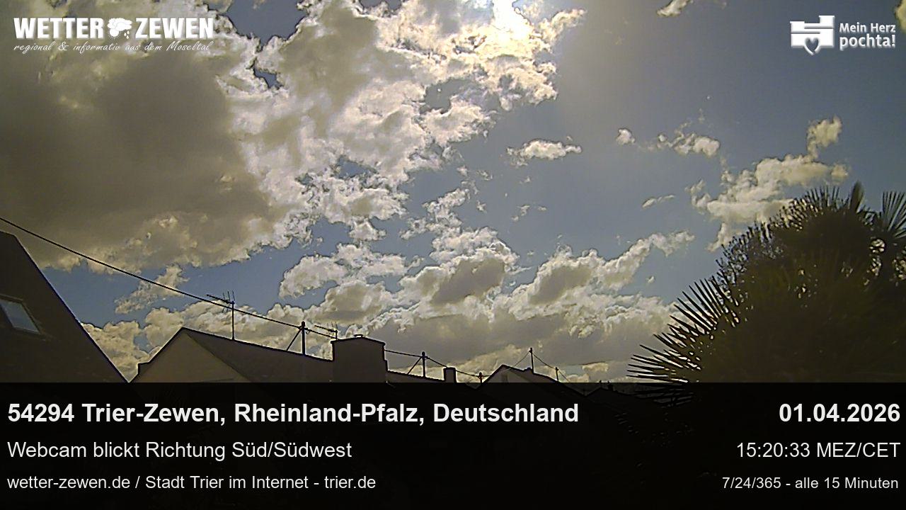 Bild
