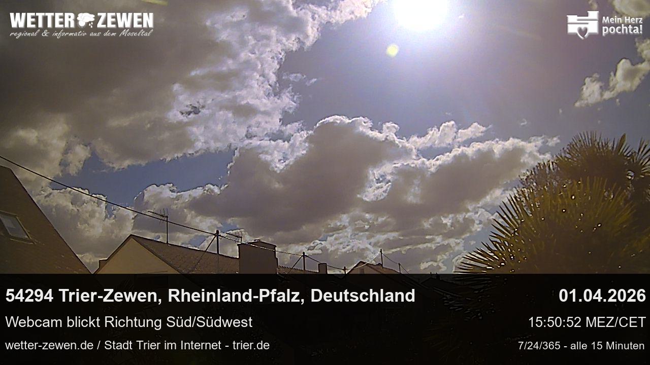 Bild