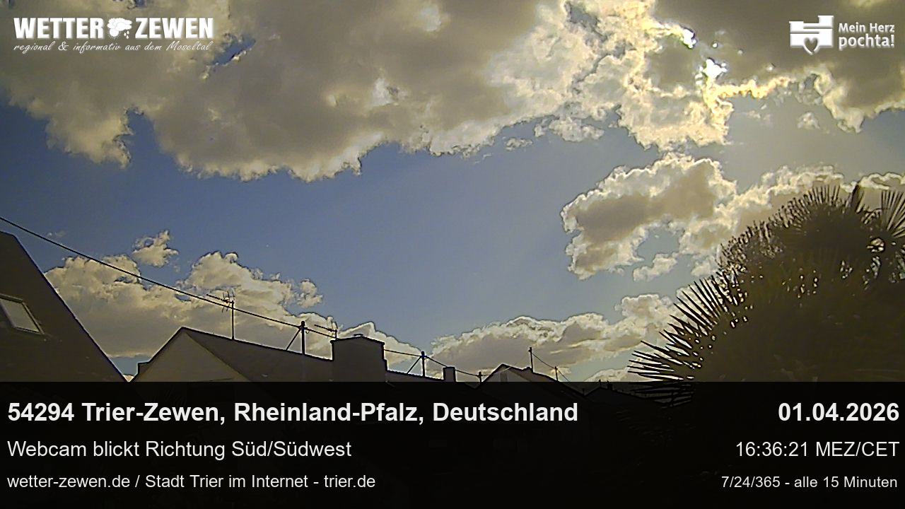 Bild