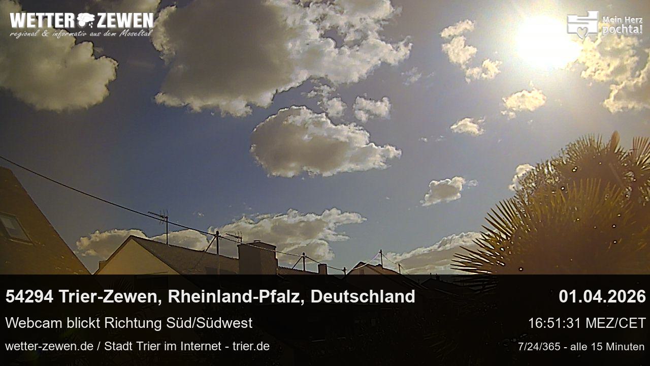 Bild