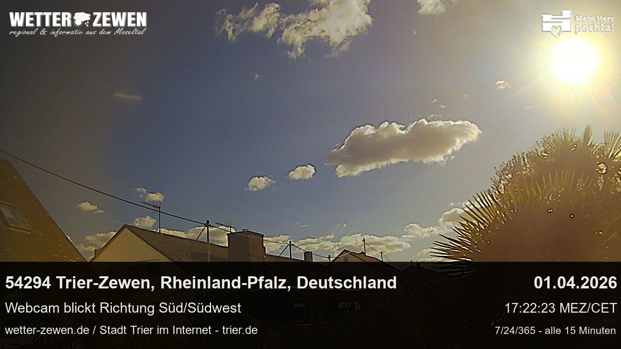 Bild