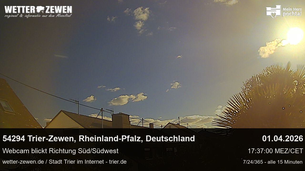 Bild