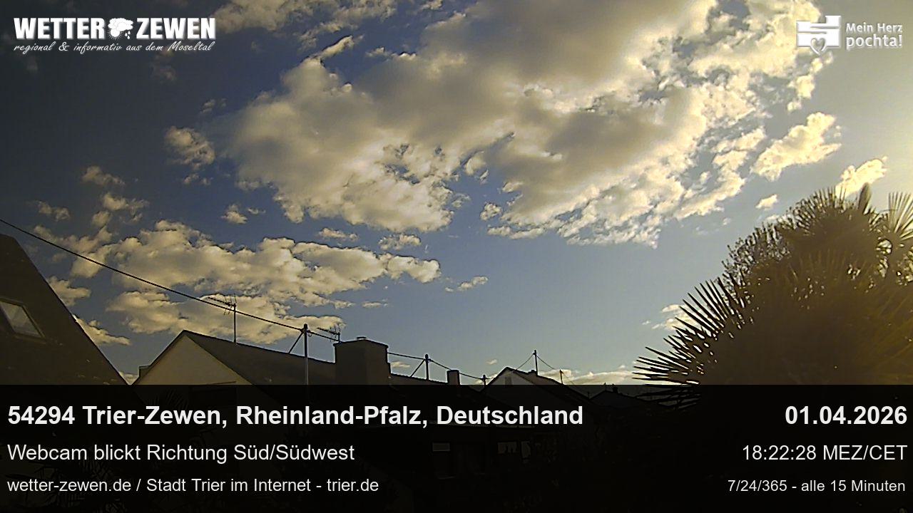 Bild