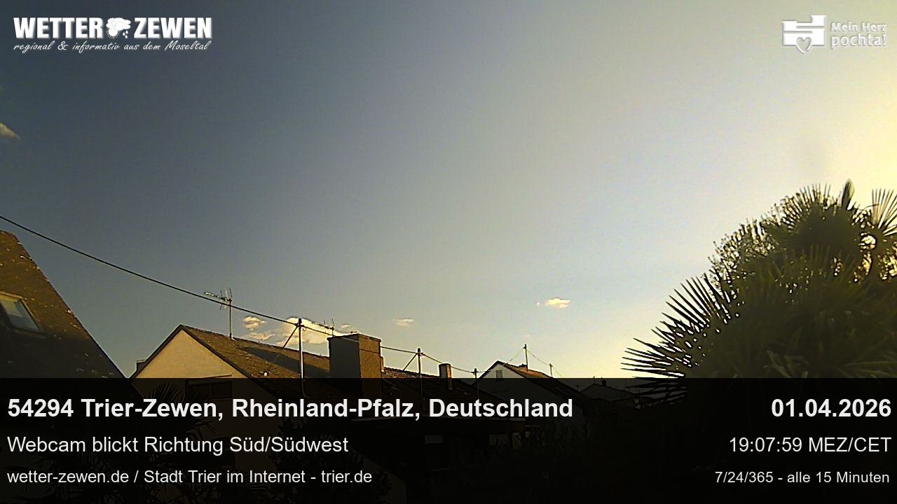 Bild