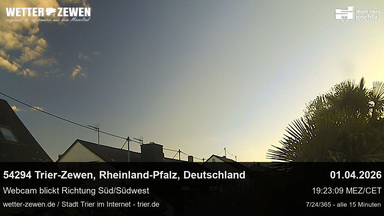 Bild