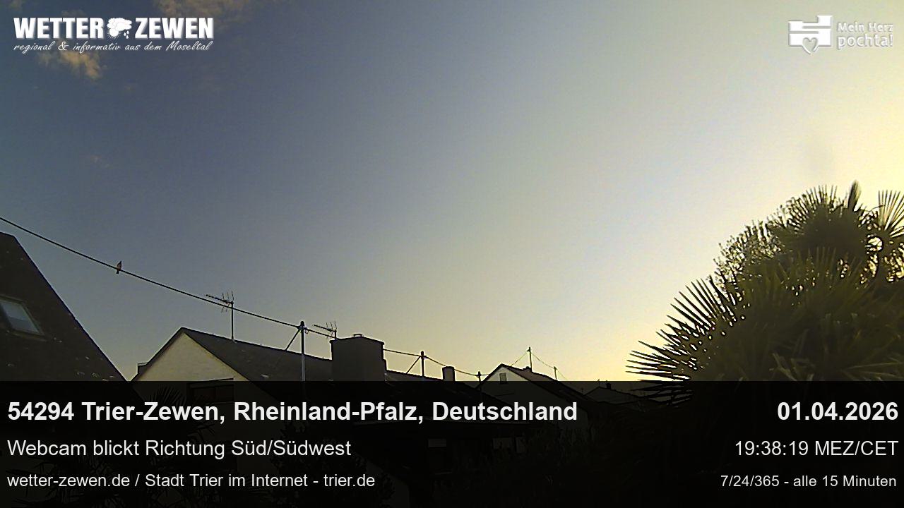 Bild