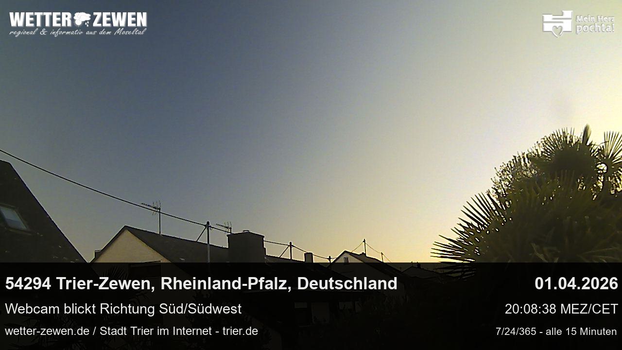 Bild