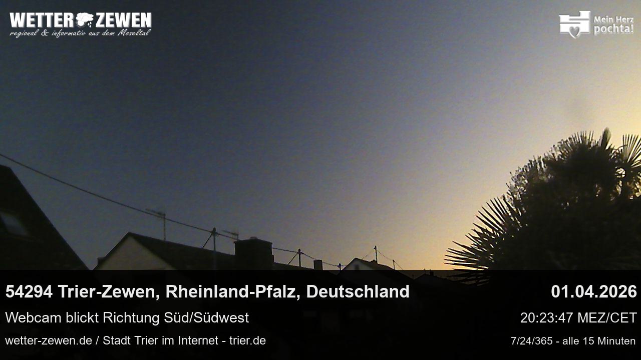 Bild