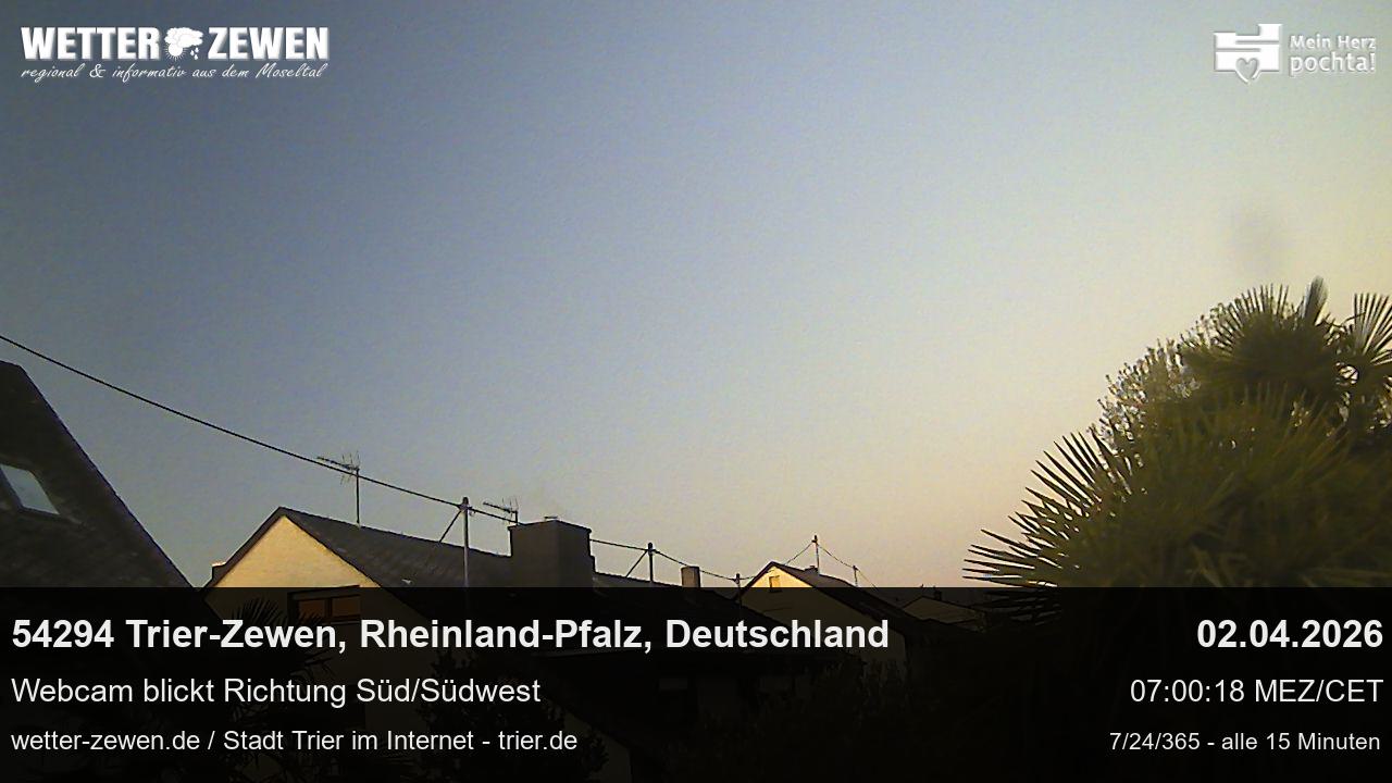 Bild