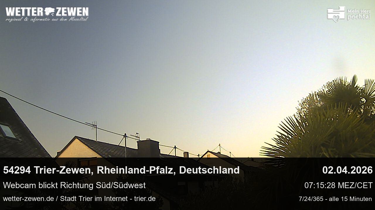Bild