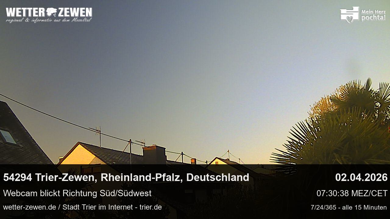 Bild