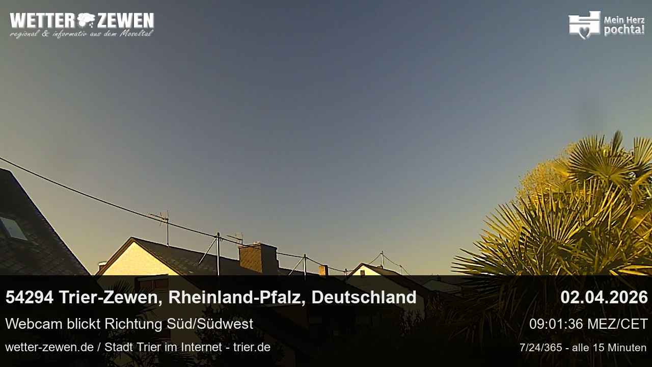 Bild