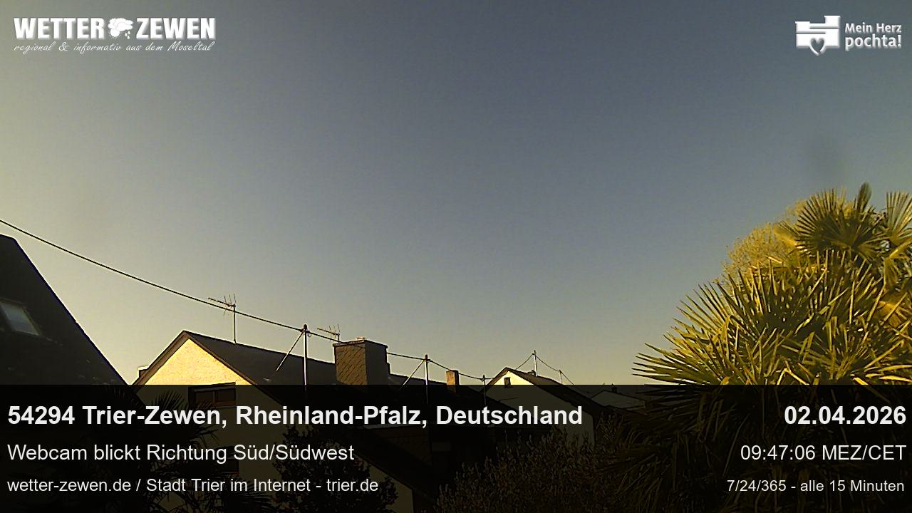 Bild