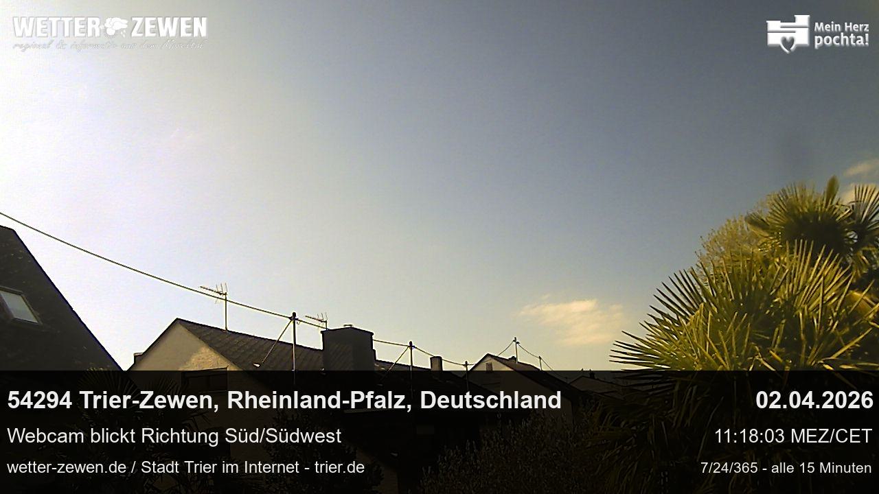 Bild