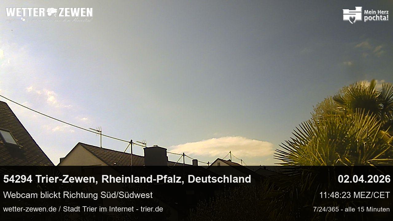 Bild