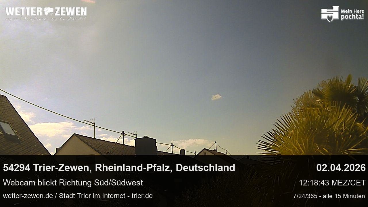 Bild