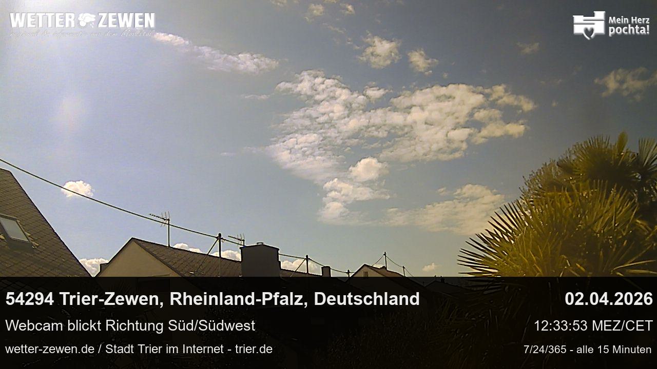 Bild