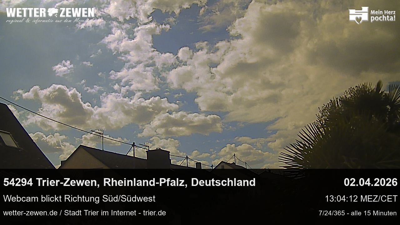 Bild