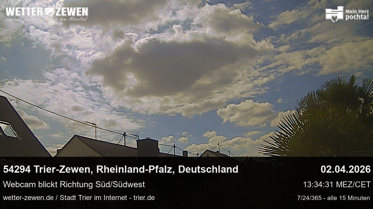 Bild