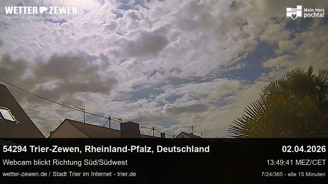 Bild