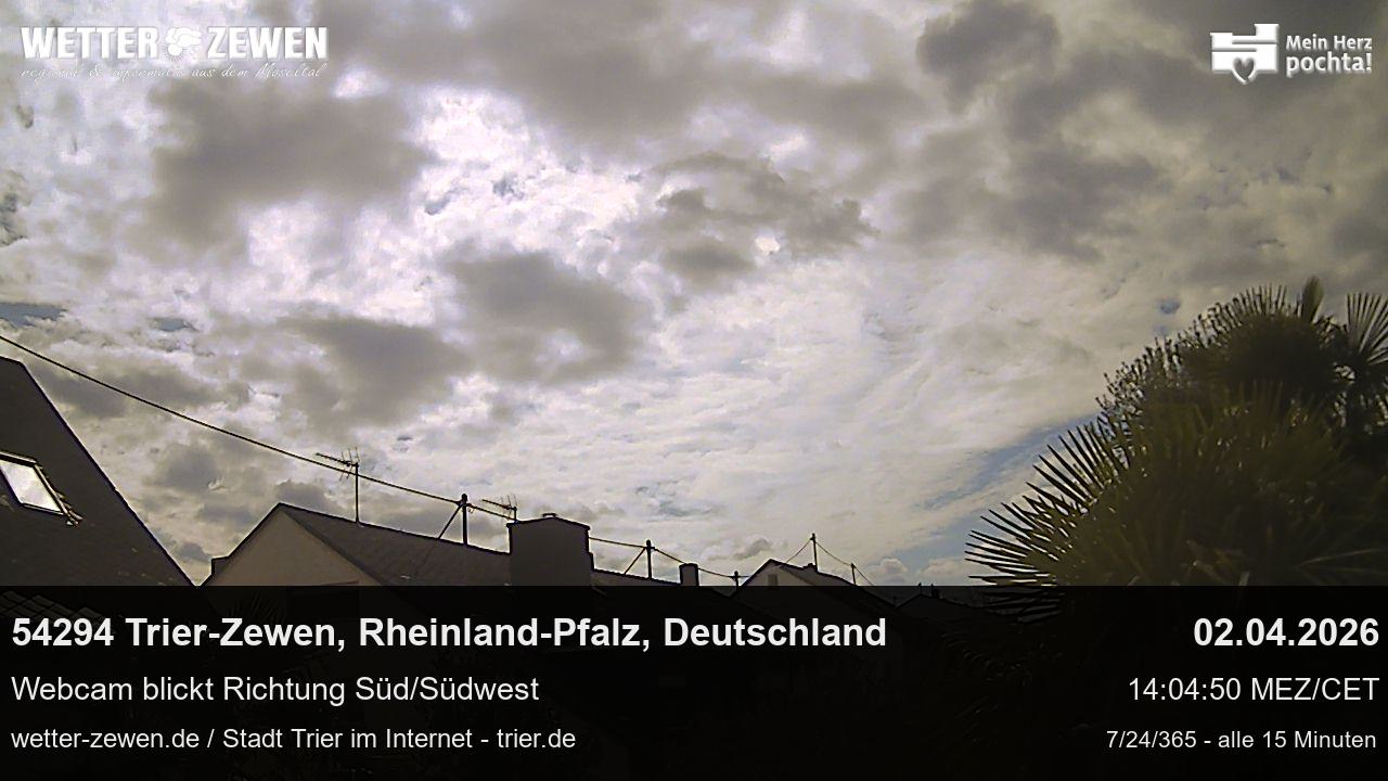 Bild