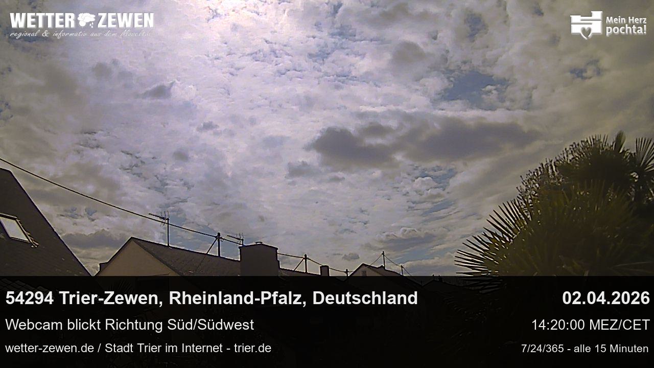 Bild