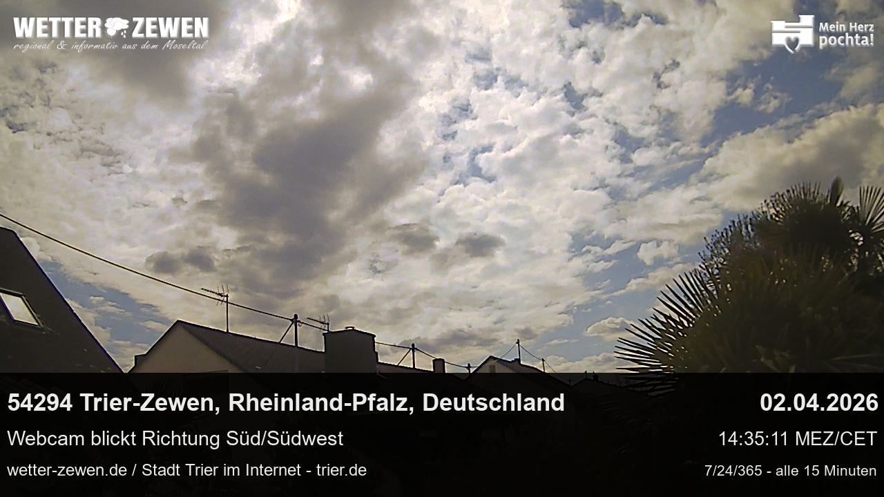 Bild