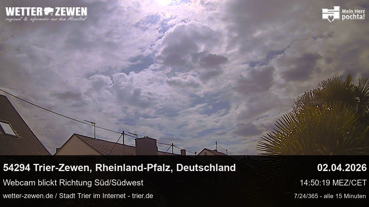 Bild